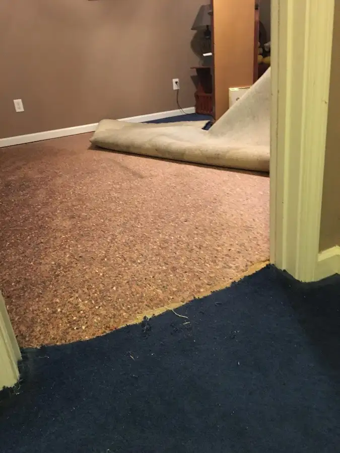 Carpet pad removal revealing water damage during Water Mitigation Services in Fort Knox