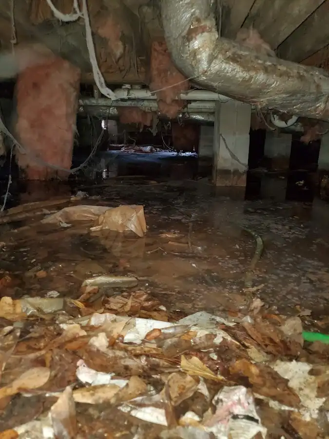 Crawl space flood assessment for Leak Detection & Repair in Fort Knox